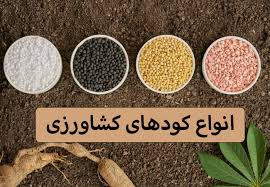کود